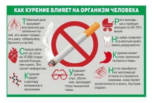 В рамках антинаркотического месячника в МАДОУ № 5 «Соловушка» прошли ряд мероприятий, направленных на пропаганду здорового образа жизни среди детей и их родителей, а также на привлечение внимания взрослых к негативным последствиям употребления наркотическ В рамках антинаркотического месячника в МАДОУ № 5 «Соловушка» прошли ряд мероприятий, направленных на пропаганду здорового образа жизни среди детей и их родителей, а также на привлечение внимания взрослых к негативным последствиям употребления наркотическ.